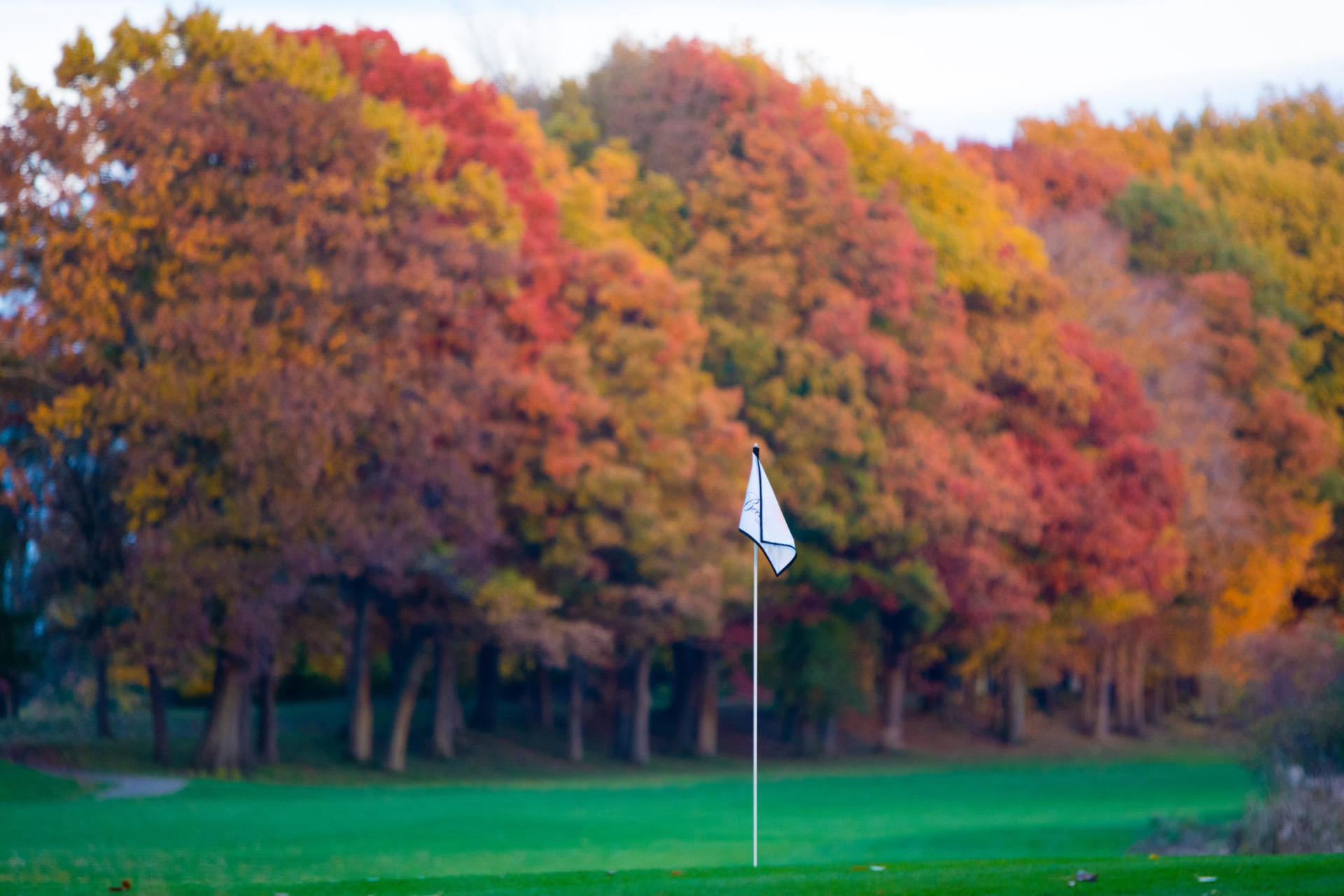 Homepage Beechwood Golf Course